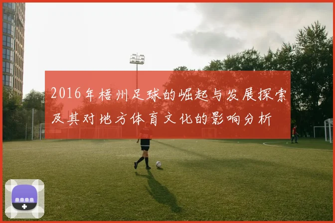2016年梧州足球的崛起与发展探索及其对地方体育文化的影响分析