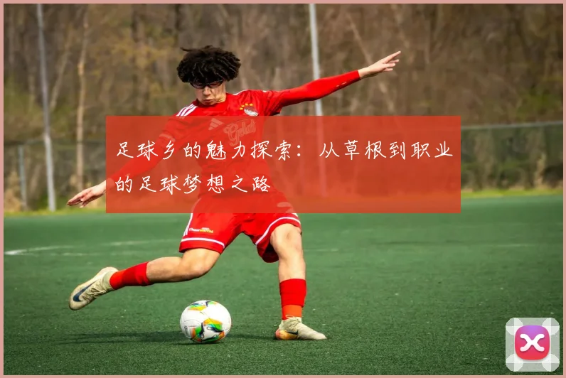 足球乡的魅力探索：从草根到职业的足球梦想之路