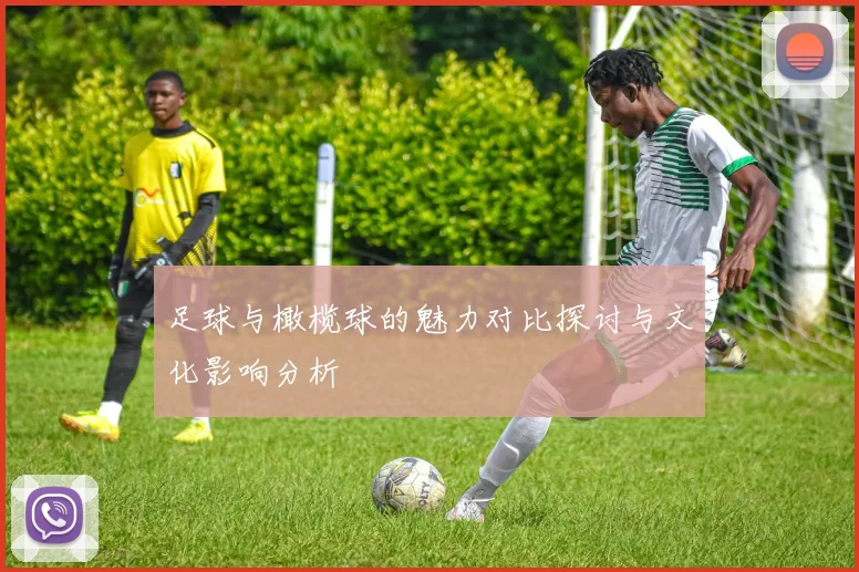 足球与橄榄球的魅力对比探讨与文化影响分析