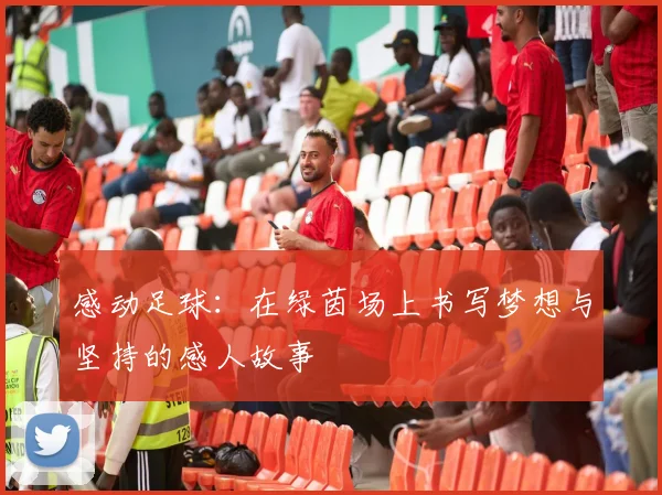 感动足球：在绿茵场上书写梦想与坚持的感人故事